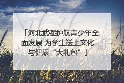 河北武强护航青少年全面发展 为学生送上文化与健康“大礼包”