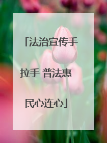 法治宣传手拉手 普法惠民心连心