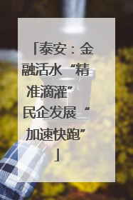 泰安：金融活水“精准滴灌” 民企发展“加速快跑”
