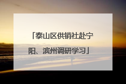 泰山区供销社赴宁阳、滨州调研学习