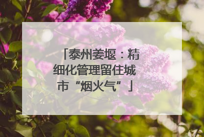 泰州姜堰：精细化管理留住城市“烟火气”
