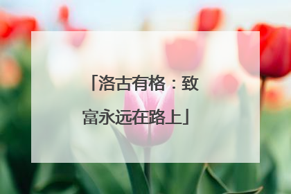 洛古有格：致富永远在路上