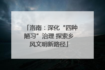 洛南：深化“四种陋习”治理 探索乡风文明新路径