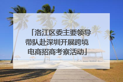 洛江区委主要领导带队赴深圳开展跨境电商招商考察活动