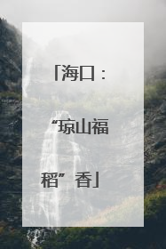 海口：“琼山福稻”香