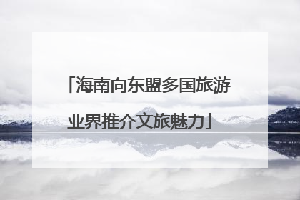 海南向东盟多国旅游业界推介文旅魅力