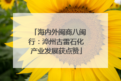 海内外闽商八闽行：漳州古雷石化产业发展获点赞