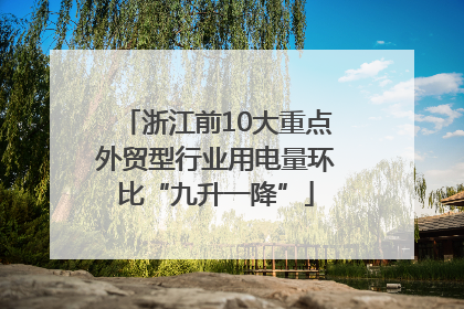 浙江前10大重点外贸型行业用电量环比“九升一降”
