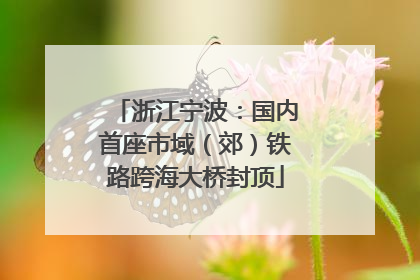 浙江宁波：国内首座市域（郊）铁路跨海大桥封顶
