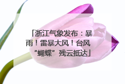 浙江气象发布：暴雨！雷暴大风！台风“蝴蝶”残云抵达