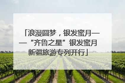 浪漫圆梦，银发蜜月——“齐鲁之星”银发蜜月新疆旅游专列开行