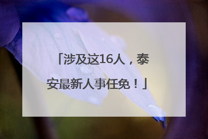 涉及这16人，泰安最新人事任免！