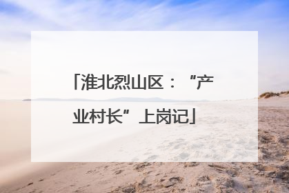 淮北烈山区：“产业村长”上岗记