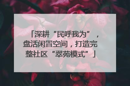 深耕“民呼我为”，盘活闲置空间，打造完整社区“翠苑模式”