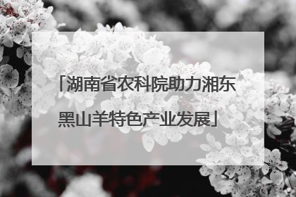 湖南省农科院助力湘东黑山羊特色产业发展