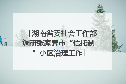 湖南省委社会工作部调研张家界市“信托制”小区治理工作
