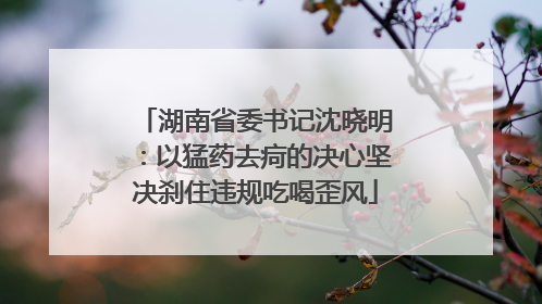 湖南省委书记沈晓明：以猛药去疴的决心坚决刹住违规吃喝歪风