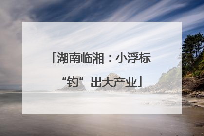 湖南临湘：小浮标“钓”出大产业