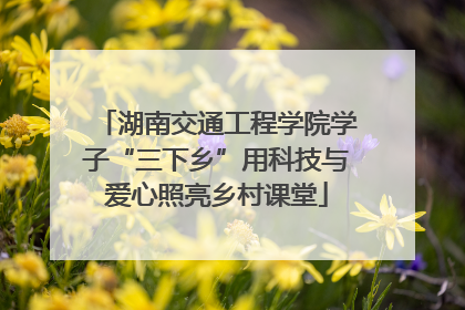 湖南交通工程学院学子“三下乡”用科技与爱心照亮乡村课堂