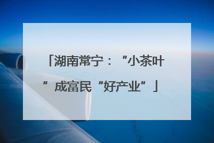 湖南常宁：“小茶叶”成富民“好产业”