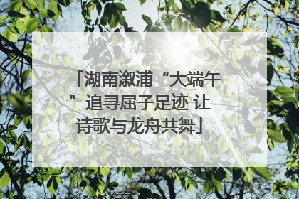 湖南溆浦“大端午”追寻屈子足迹 让诗歌与龙舟共舞