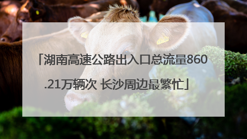 湖南高速公路出入口总流量860.21万辆次 长沙周边最繁忙