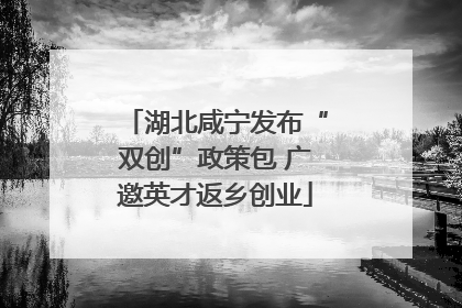 湖北咸宁发布“双创”政策包 广邀英才返乡创业