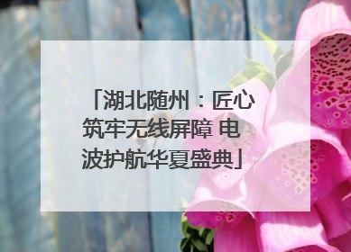湖北随州：匠心筑牢无线屏障 电波护航华夏盛典