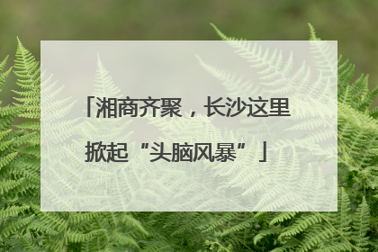 湘商齐聚，长沙这里掀起“头脑风暴”