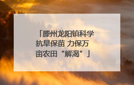 滕州龙阳镇科学抗旱保苗 力保万亩农田“解渴”