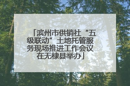 滨州市供销社“五级联动”土地托管服务现场推进工作会议在无棣县举办