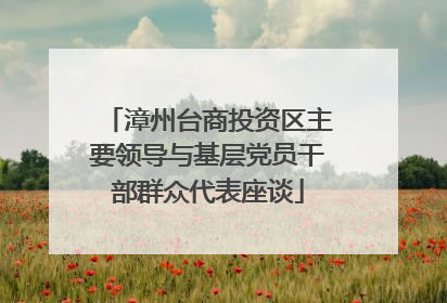 漳州台商投资区主要领导与基层党员干部群众代表座谈