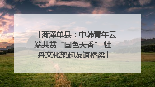 菏泽单县：中韩青年云端共赏“国色天香” 牡丹文化架起友谊桥梁