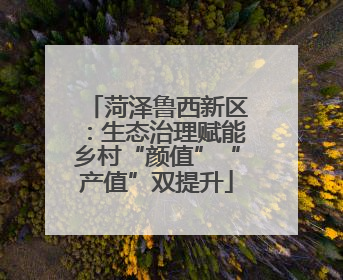 菏泽鲁西新区：生态治理赋能乡村“颜值”“产值”双提升