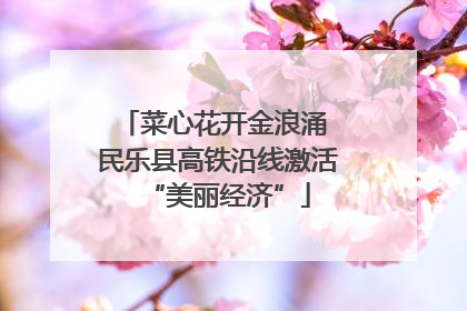 菜心花开金浪涌 民乐县高铁沿线激活“美丽经济”