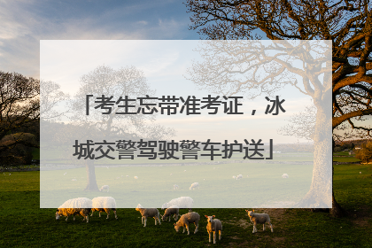 考生忘带准考证，冰城交警驾驶警车护送