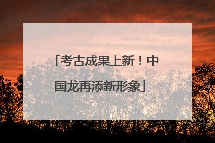 考古成果上新！中国龙再添新形象