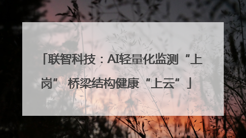 联智科技：AI轻量化监测“上岗” 桥梁结构健康“上云”