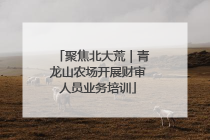聚焦北大荒｜青龙山农场开展财审人员业务培训