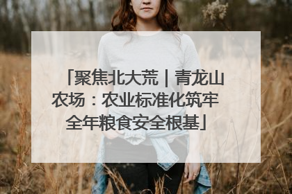 聚焦北大荒｜青龙山农场：农业标准化筑牢全年粮食安全根基