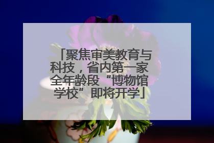 聚焦审美教育与科技，省内第一家全年龄段“博物馆学校”即将开学