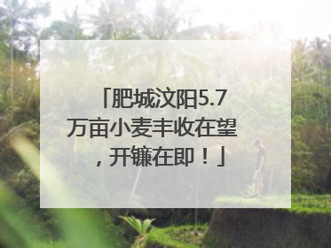 肥城汶阳5.7万亩小麦丰收在望，开镰在即！