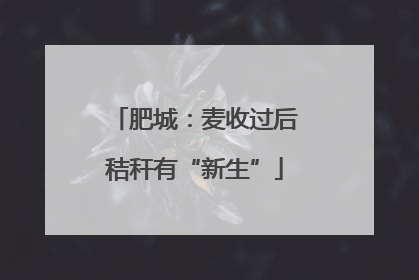 肥城：麦收过后秸秆有“新生”