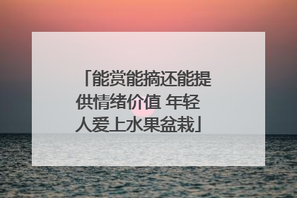 能赏能摘还能提供情绪价值 年轻人爱上水果盆栽
