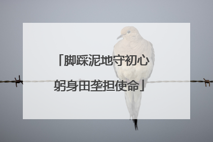 脚踩泥地守初心 躬身田垄担使命