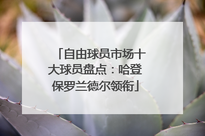 自由球员市场十大球员盘点：哈登保罗兰德尔领衔