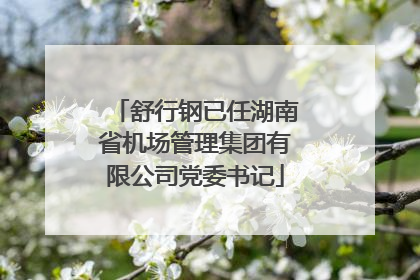 舒行钢已任湖南省机场管理集团有限公司党委书记