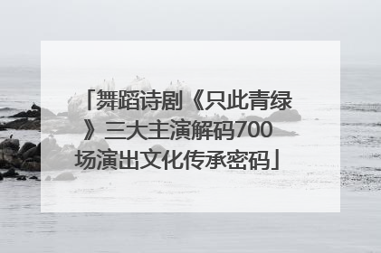 舞蹈诗剧《只此青绿》三大主演解码700场演出文化传承密码