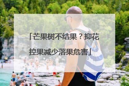 芒果树不结果？抑花控果减少落果危害