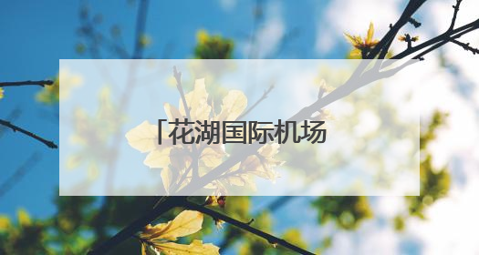 花湖国际机场首个海外仓在意大利揭牌投运